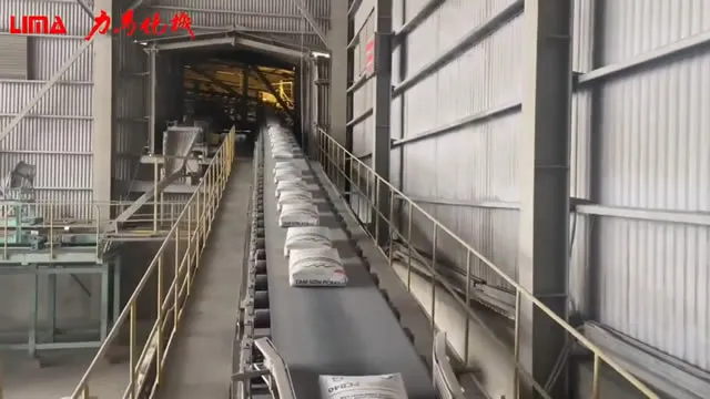 Máy đóng bao và xếp pallet tự động cho công ty xi măng tại Việt Nam