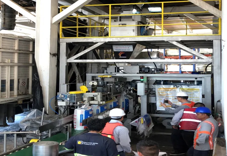 Thiết bị đóng bao và xếp pallet tự động cung cấp cho công ty ISAOSA tại Mexico